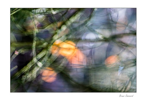 danse-avec-les-flous